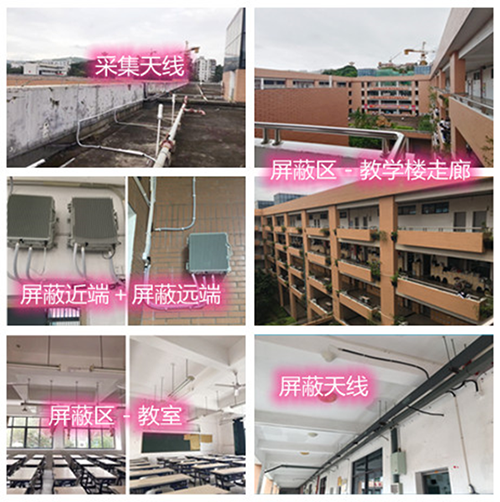 金阳某中学考场屏蔽案例（数字信令级）